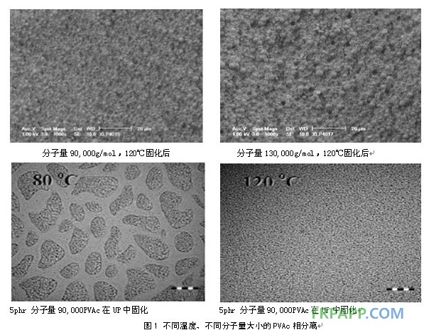 不同分子