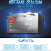 山特蓄電池12V200AH城堡C12-200鉛酸免維護